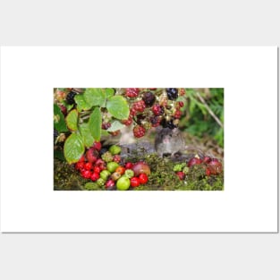 Little mouse and brambles Posters and Art